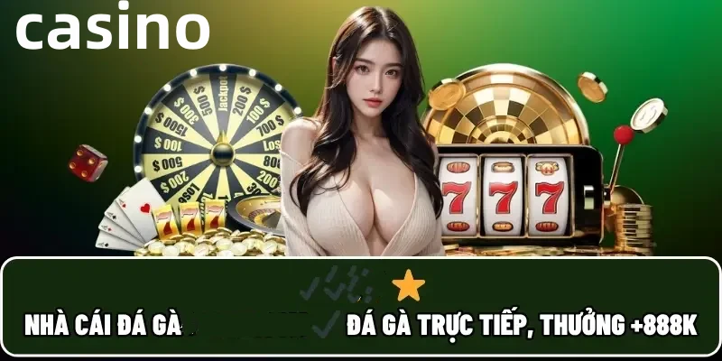 bigwin68